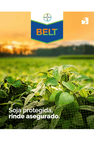 Alberto Moncho e Hijos